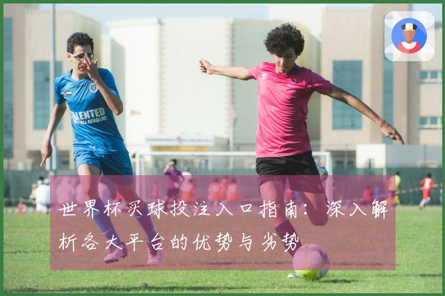 世界杯买球投注入口指南：深入解析各大平台的优势与劣势