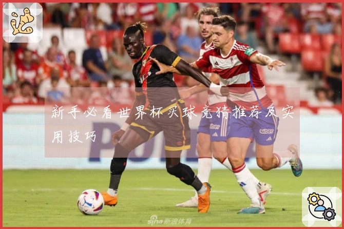 新手必看世界杯买球竞猜推荐及实用技巧