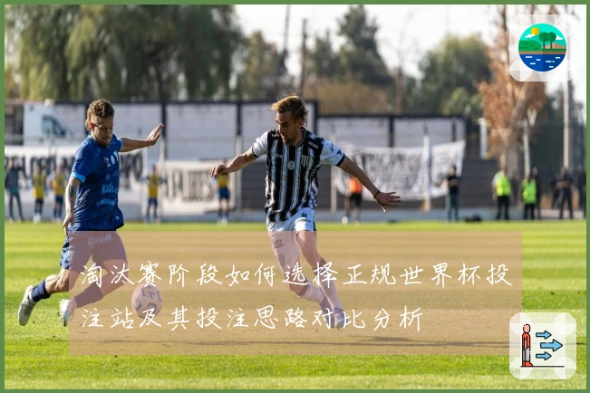 淘汰赛阶段如何选择正规世界杯投注站及其投注思路对比分析