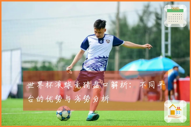 世界杯滚球竞猜盘口解析：不同平台的优势与劣势分析