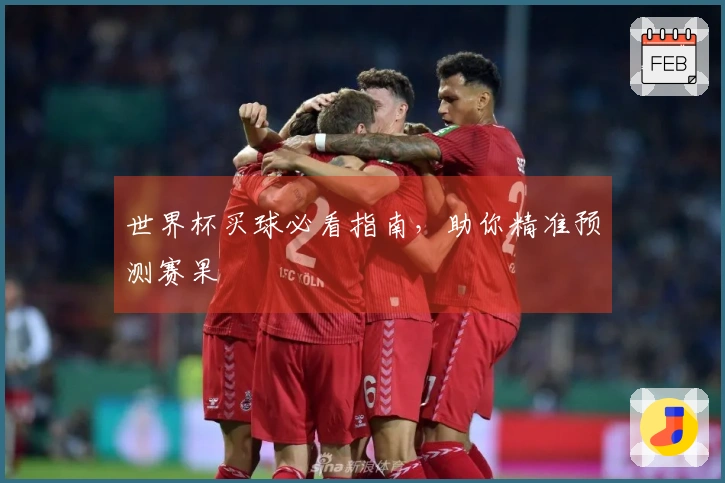 世界杯买球必看指南，助你精准预测赛果