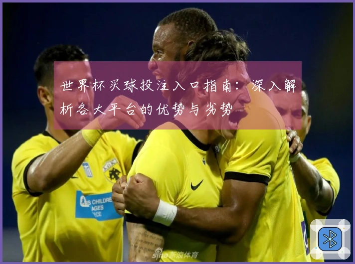 世界杯买球投注入口指南：深入解析各大平台的优势与劣势