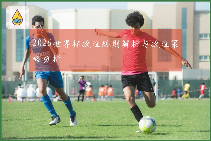 2026世界杯投注规则解析与投注策略分析