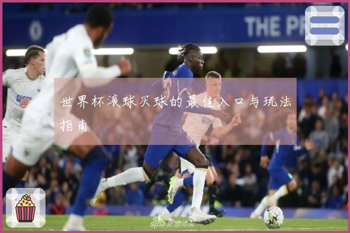 世界杯滚球买球的最佳入口与玩法指南