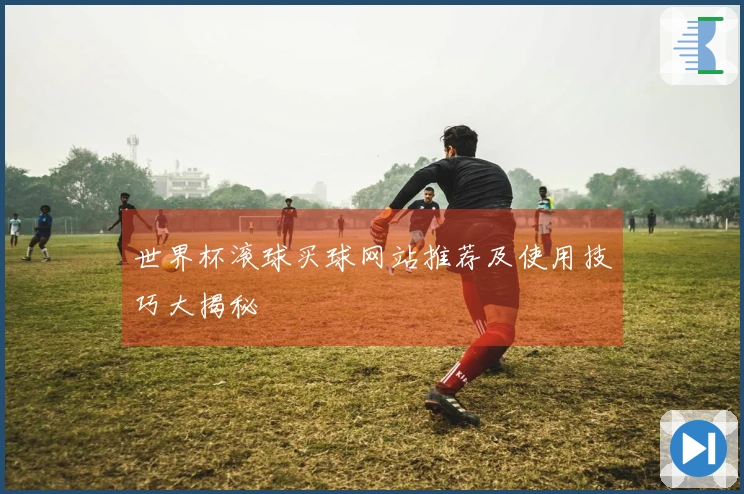 世界杯滚球买球网站推荐及使用技巧大揭秘
