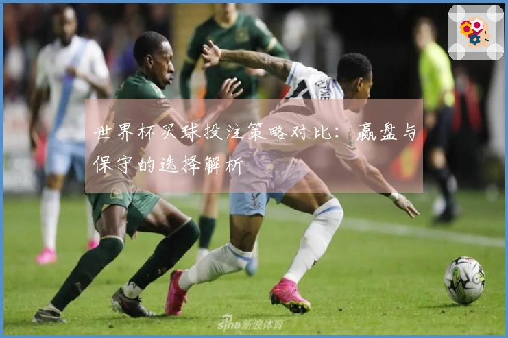 世界杯买球投注策略对比：赢盘与保守的选择解析