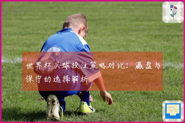世界杯买球投注策略对比：赢盘与保守的选择解析