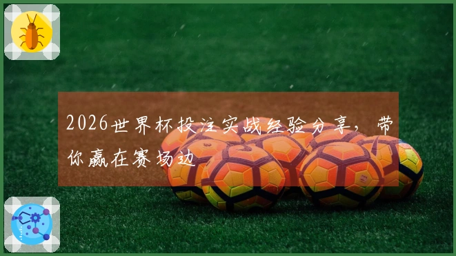 2026世界杯投注实战经验分享，带你赢在赛场边