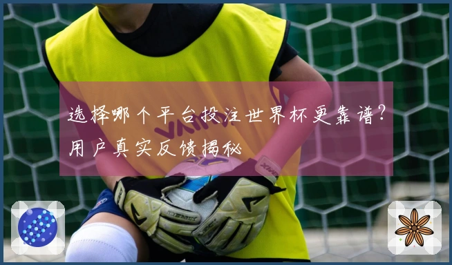 选择哪个平台投注世界杯更靠谱？用户真实反馈揭秘
