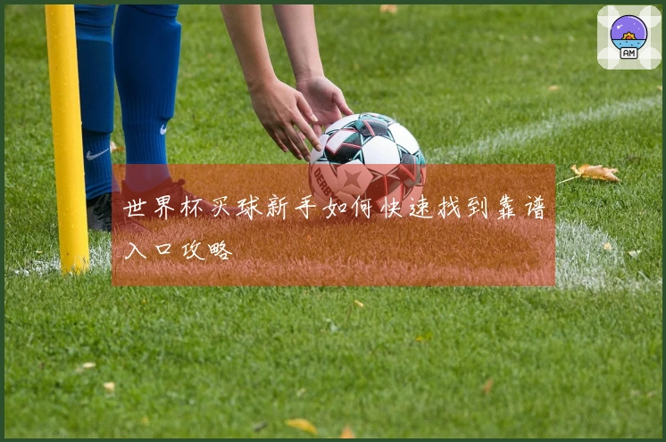 世界杯买球新手如何快速找到靠谱入口攻略