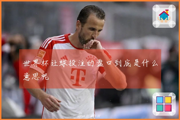 世界杯让球投注的盘口到底是什么意思呢