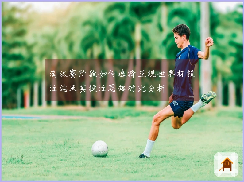 淘汰赛阶段如何选择正规世界杯投注站及其投注思路对比分析