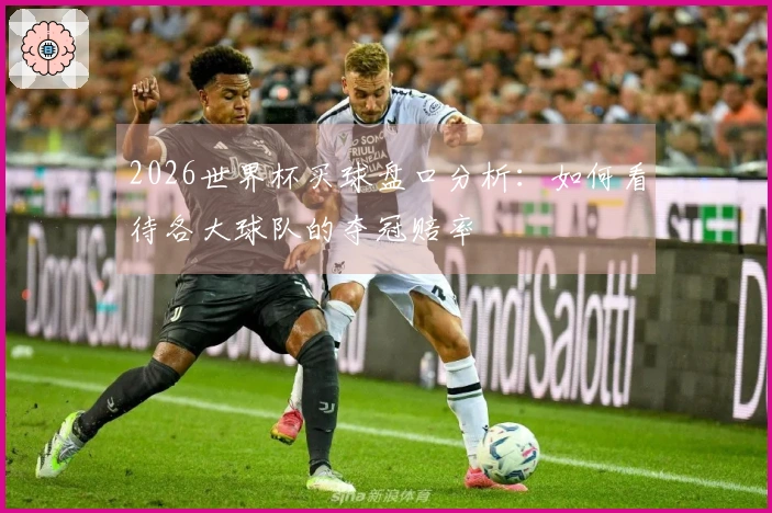 2026世界杯买球盘口分析：如何看待各大球队的夺冠赔率