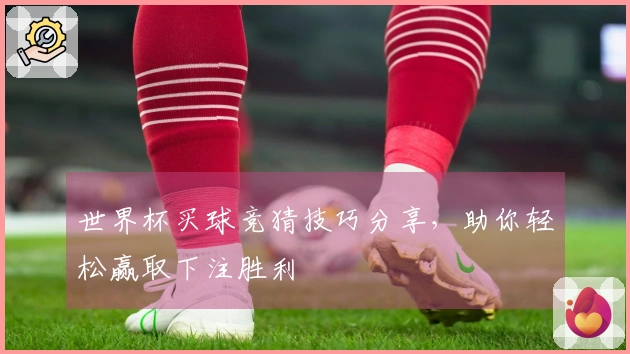 世界杯买球竞猜技巧分享，助你轻松赢取下注胜利