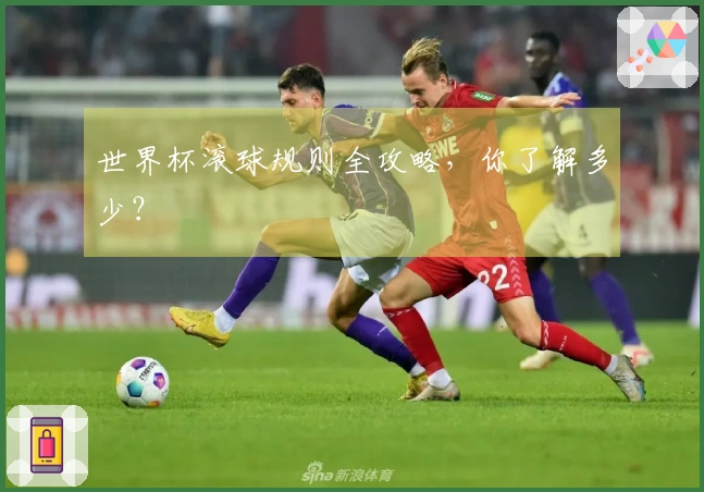 世界杯滚球规则全攻略，你了解多少？